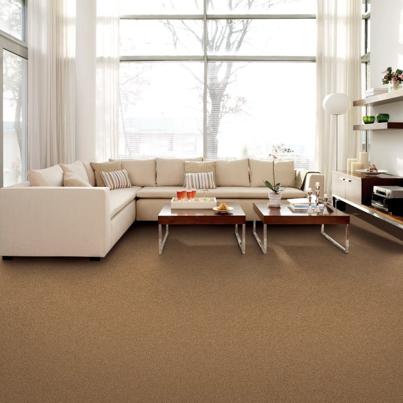 Carpet info at Carpets Unlimited in Owensboro, Kentucky.